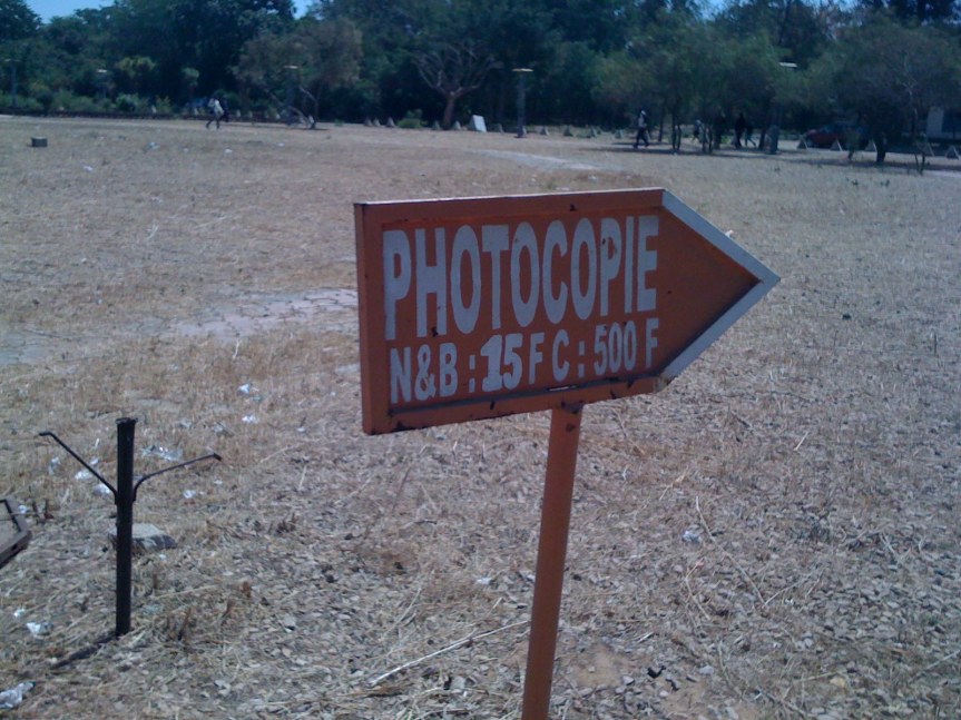 Afrique du Sud : le traditionalisme et le masculinisme au secours du&nbsp;pouvoir