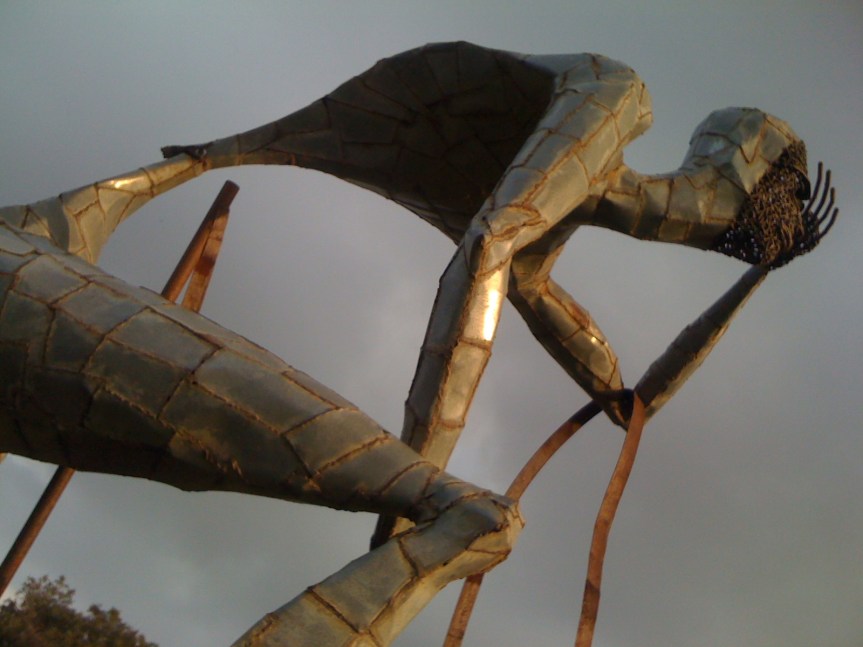 Afrique du Sud : les violences de genre en&nbsp;chiffres