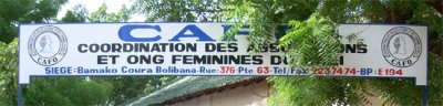 Réseaux de femmes et féministes en Afrique : entre institutionnalisation et&nbsp;radicalité