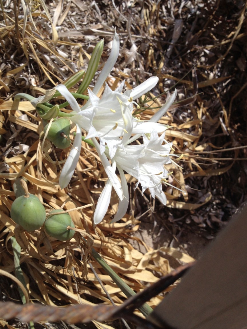 8 mars, la fête de la pensée&nbsp;!
