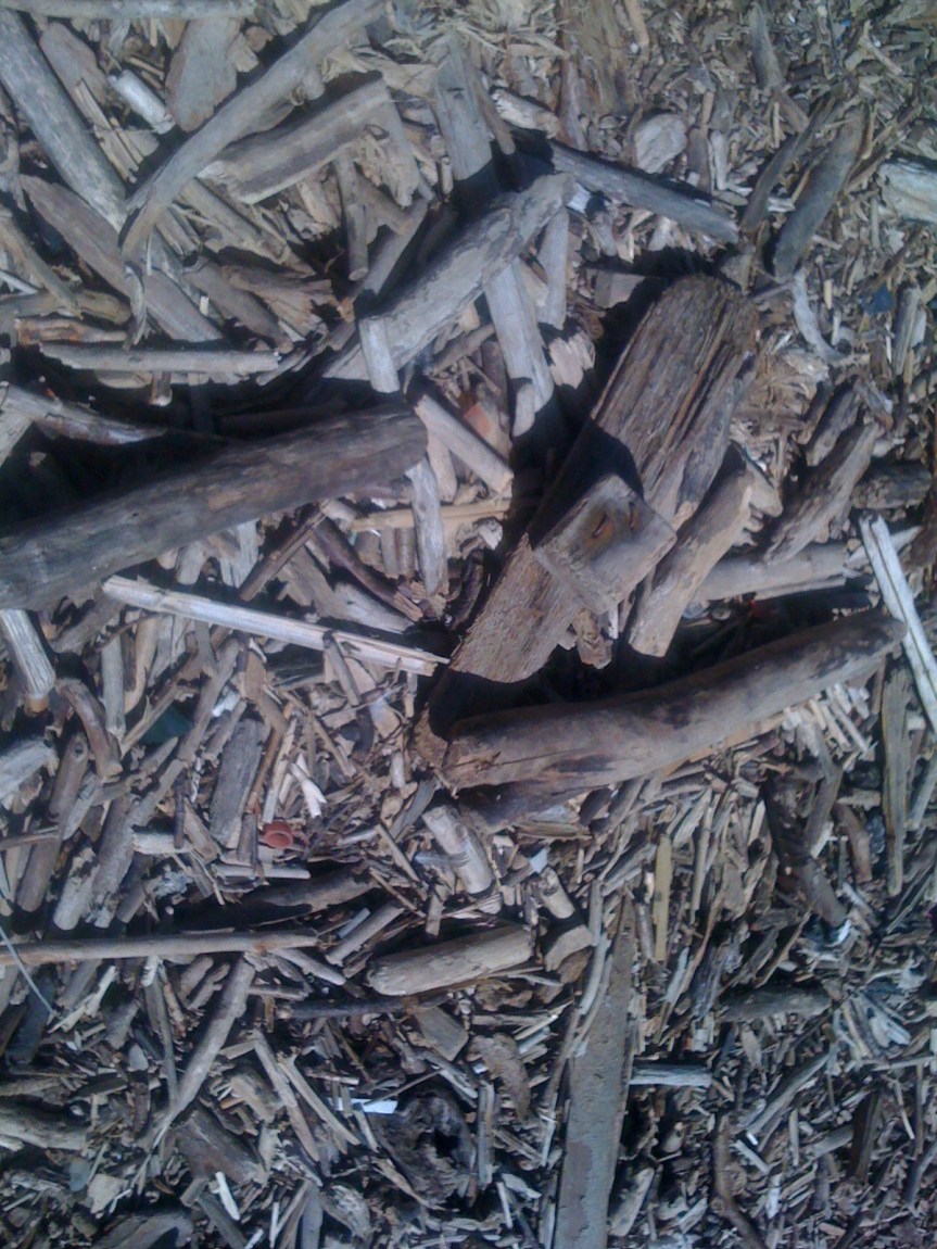 Antigone, reviens ! La marge n&rsquo;est plus ce qu&rsquo;elle&nbsp;était…