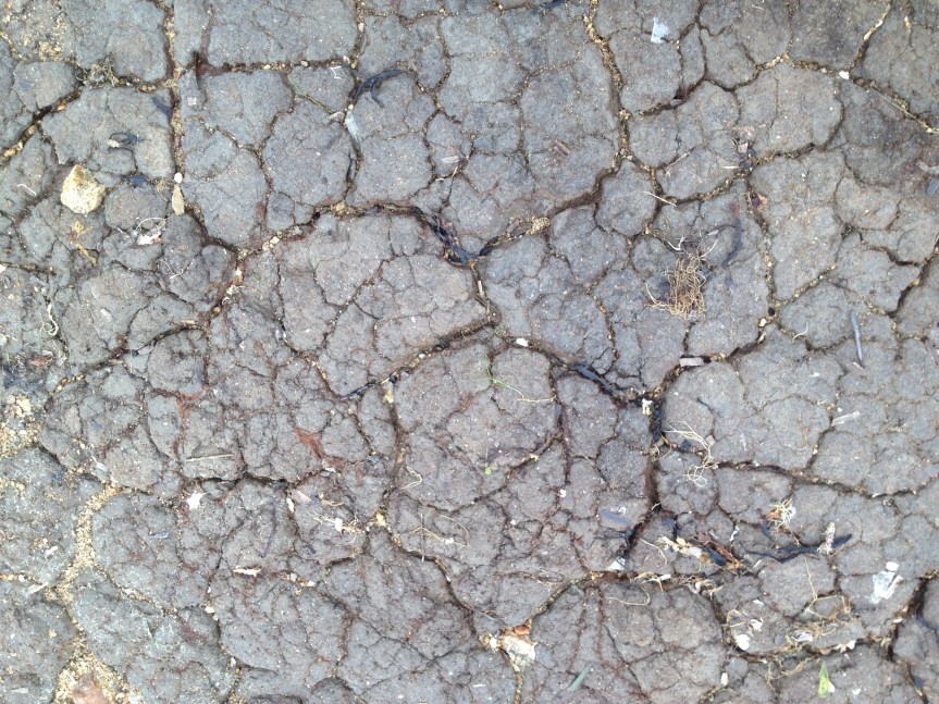 Enquête sur un citoyen au-dessus de tout&nbsp;soupçon