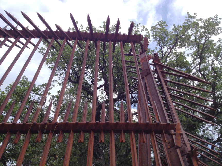 Covid-19 et les paradoxes des&nbsp;TIC