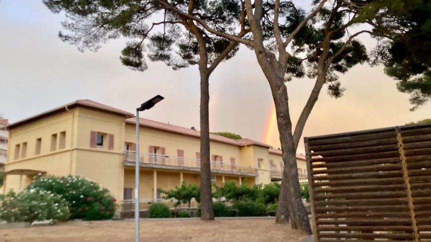 Rééducation et réadaptation au service du validisme&nbsp;?